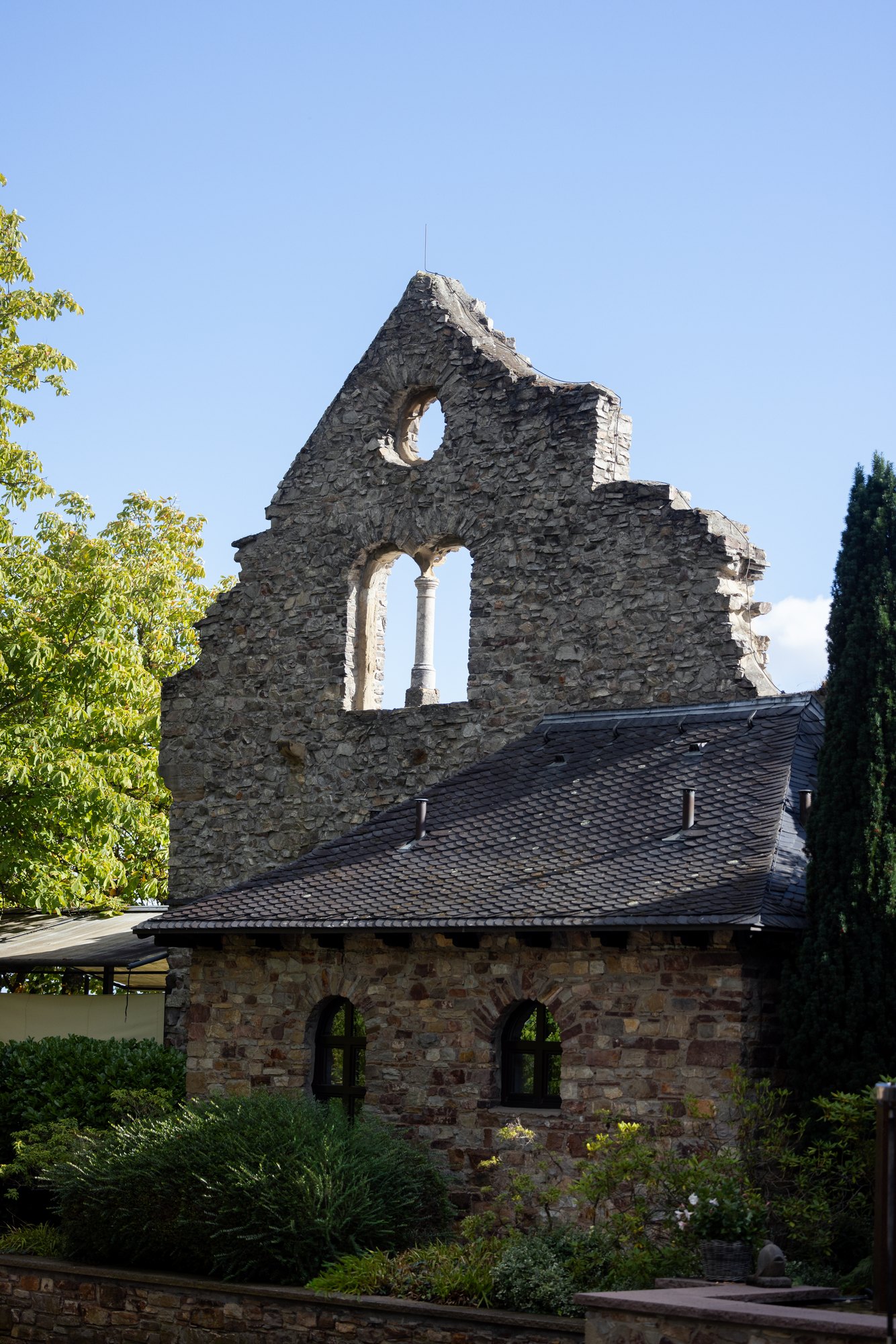 Historische Burgruine auf dem Gelände von Burg Schwarzenstein in Geisenheim
