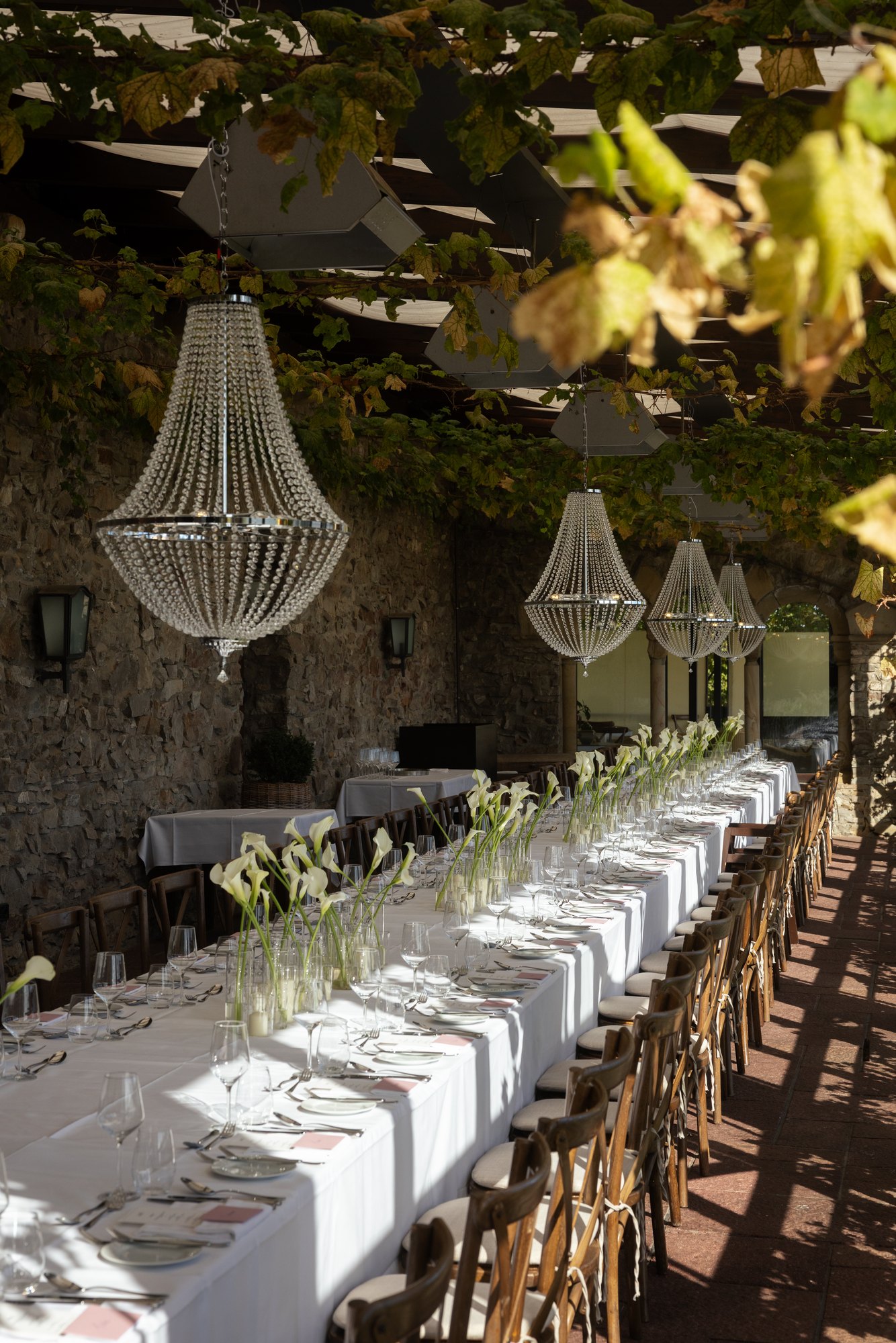 Hochzeitstafel unter Weinlaub im Herbstlicht