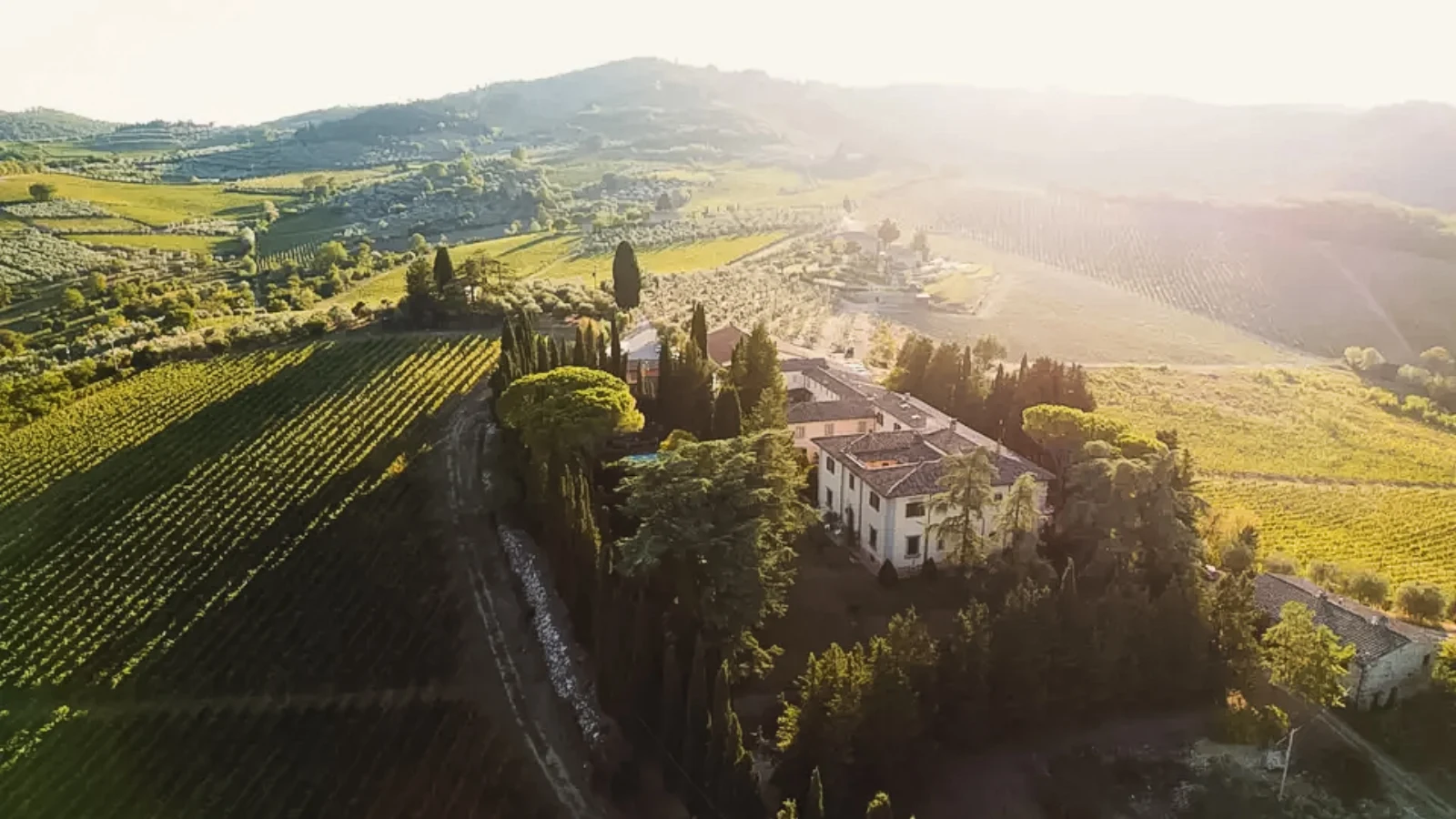 Weinberge und Hügel der Toskana im Abendlicht
